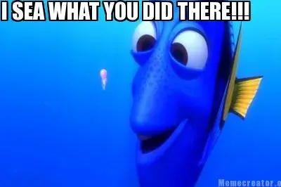 I SEA WHAT YOU DID THERE!!! meme