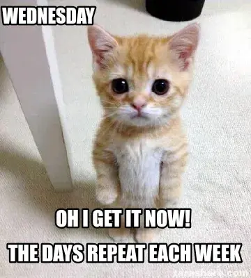 Funny Wednesday  The days repeat each week Oh I get it now!