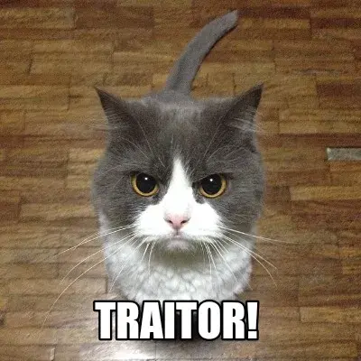 Traitor! meme