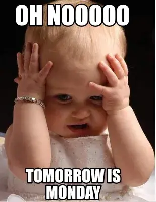 Funny Oh Nooooo Tomorrow is Monday