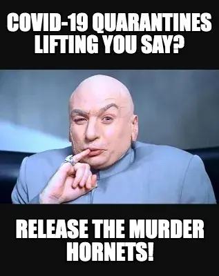 Funny COVID-19 QUARANTINES LIFTING YOU SAY? RELEASE THE MURDER HORNETS!