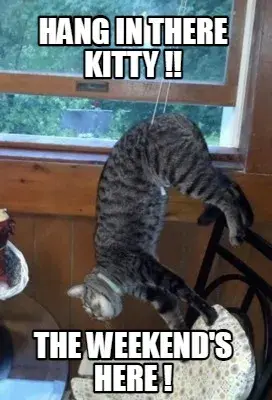 Hang in there kitty !! the weekend's here !