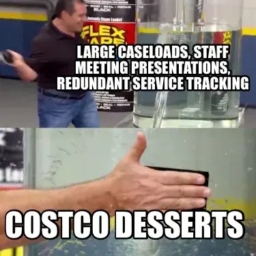Funny Large caseloads, staff meeting presentations, redundant service tracking Costco