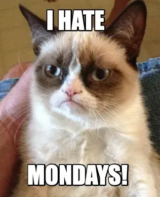 Funny I HATE  MONDAYS!