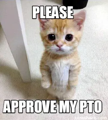 Funny Please Approve My PTO