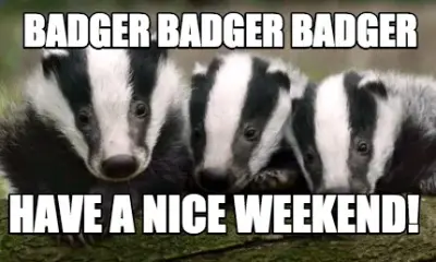 Funny BADGER BADGER BADGER Have a nice weekend!