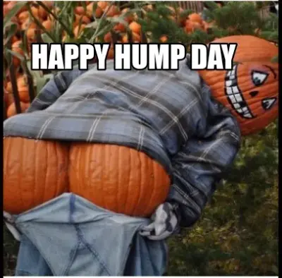 Funny HAPPY HUMP DAY