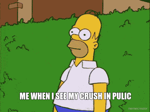 ME WHEN I SEE MY CRUSH IN PULIC