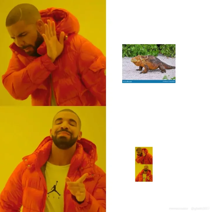 Drake meme