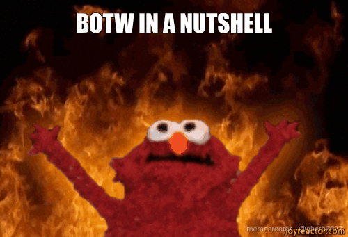 BOTW IN A NUTSHELL