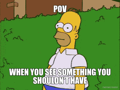POV - WHEN YOU SEE SOMETHING YOU SHOULDN'T HAVE