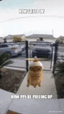 NEW GATE POV  - HOW PPL BE PULLING UP meme