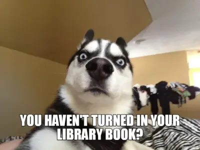 - YOU HAVEN'T TURNED IN YOUR LIBRARY BOOK? meme