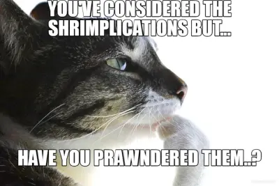 YOU'VE CONSIDERED THE SHRIMPLICATIONS BUT... - HAVE YOU PRAWNDERED THEM..? meme