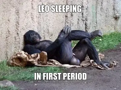LEO SLEEPING  - IN FIRST PERIOD meme