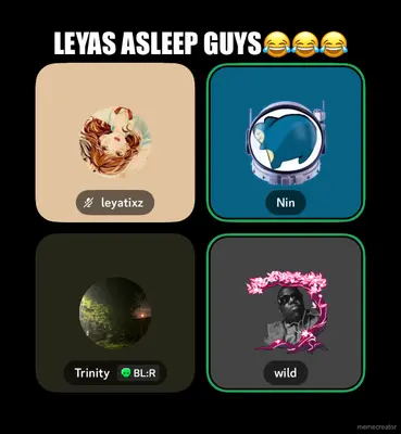 LEYAS ASLEEP GUYS😂😂😂 meme