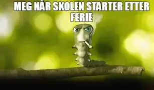 MEG NÅR SKOLEN STARTER ETTER FERIE meme