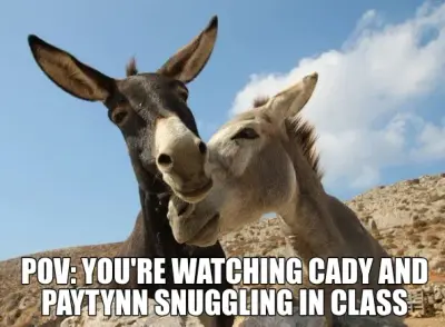 POV: YOU'RE WATCHING CADY AND PAYTYNN SNUGGLING IN CLASS meme