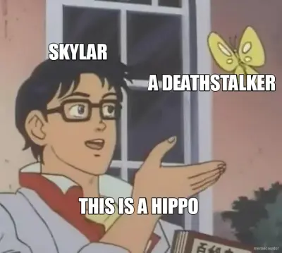 SKYLAR - A DEATHSTALKER - THIS IS A HIPPO meme