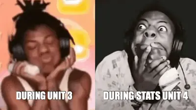DURING UNIT 3 - DURING STATS UNIT 4 meme