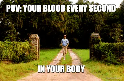 POV: YOUR BLOOD EVERY SECOND  - IN YOUR BODY meme