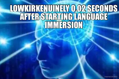 LOWKIRKENUINELY 0.02 SECONDS AFTER STARTING LANGUAGE IMMERSION meme