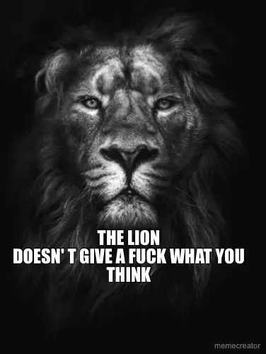 THE LION
DOESN' T GIVE A FUCK WHAT YOU THINK meme