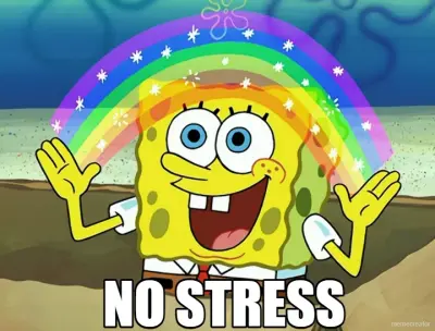 NO STRESS meme