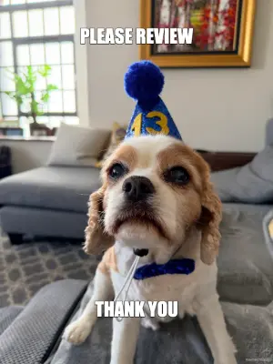 PLEASE REVIEW - THANK YOU meme