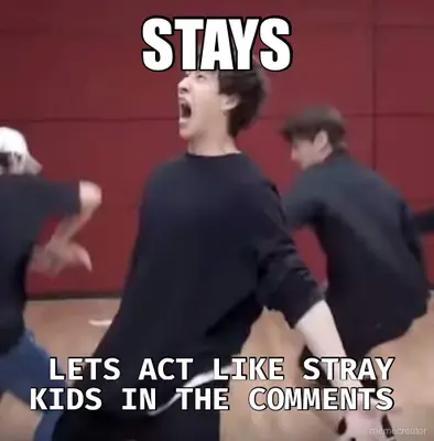 STAYS - LETS ACT LIKE STRAY KIDS IN THE COMMENTS meme