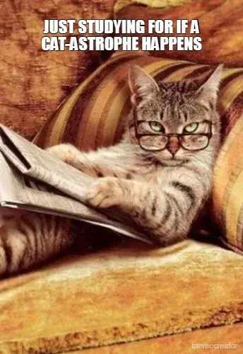 JUST STUDYING FOR IF A CAT-ASTROPHE HAPPENS meme