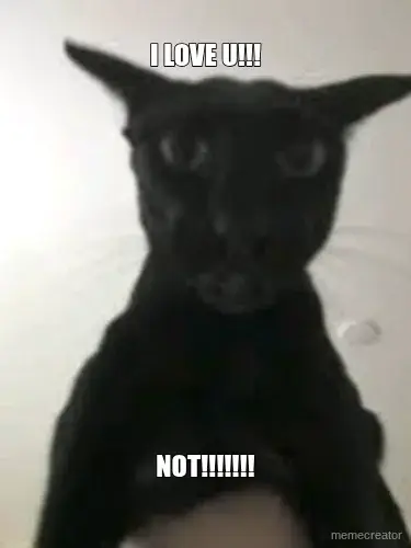I LOVE U!!! - NOT!!!!!!! meme