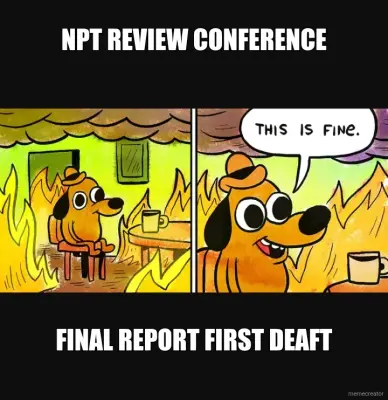 NPT REVIEW CONFERENCE - FINAL REPORT FIRST DEAFT meme