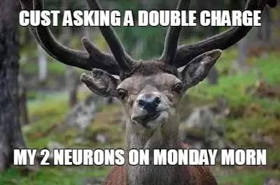 CUST ASKING A DOUBLE CHARGE — MY 2 NEURONS ON MONDAY MORN