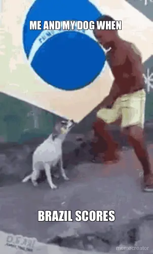 ME AND MY DOG WHEN  - BRAZIL SCORES meme