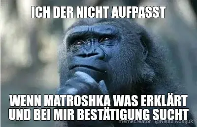 ICH DER NICHT AUFPASST - WENN MATROSHKA WAS ERKLÄRT UND BEI MIR BESTÄTIGUNG SUCHT meme