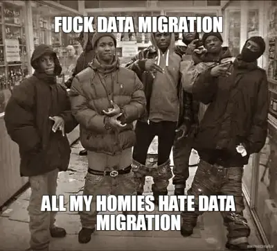 FUCK DATA MIGRATION - ALL MY HOMIES HATE DATA MIGRATION meme