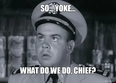 SO... YOKE... - WHAT DO WE DO, CHIEF? meme