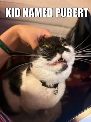 KID NAMED PUBERT meme