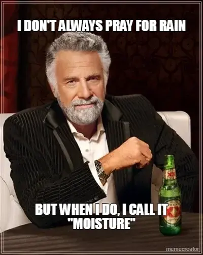 I DON'T ALWAYS PRAY FOR RAIN - BUT WHEN I DO, I CALL IT "MOISTURE" meme