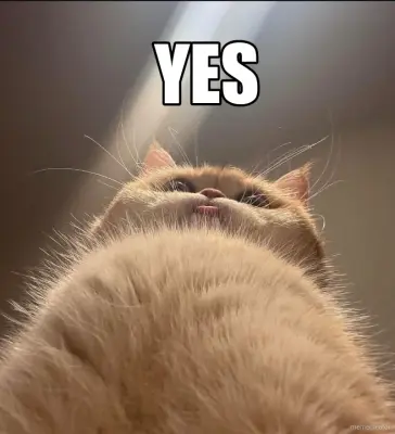 Yes meme