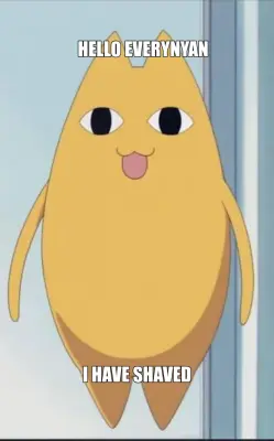 HELLO EVERYNYAN - I HAVE SHAVED meme