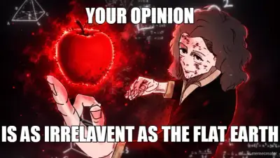 YOUR OPINION - IS AS IRRELAVENT AS THE FLAT EARTH meme