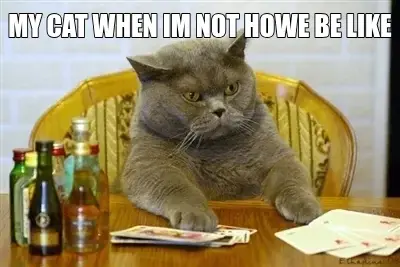 MY CAT WHEN IM NOT HOWE BE LIKE — meme