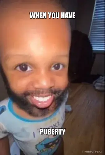 WHEN YOU HAVE - PUBERTY meme