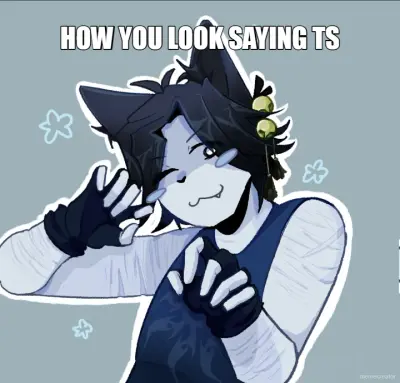 HOW YOU LOOK SAYING TS meme