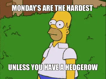 MONDAY’S ARE THE HARDEST  | UNLESS YOU HAVE A HEDGEROW
