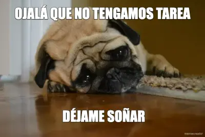 OJALÁ QUE NO TENGAMOS TAREA -  DÉJAME SOÑAR meme