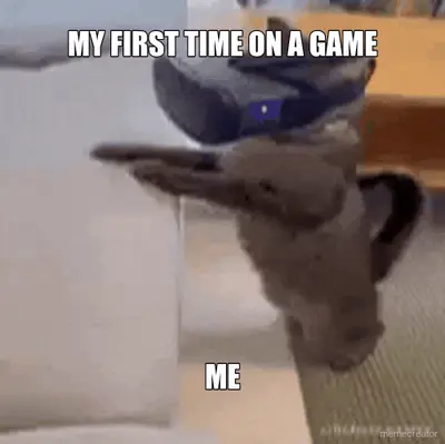MY FIRST TIME ON A GAME - ME meme