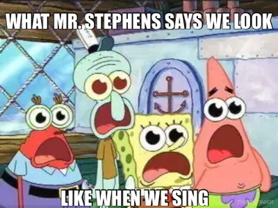 WHAT MR. STEPHENS SAYS WE LOOK - LIKE WHEN WE SING meme